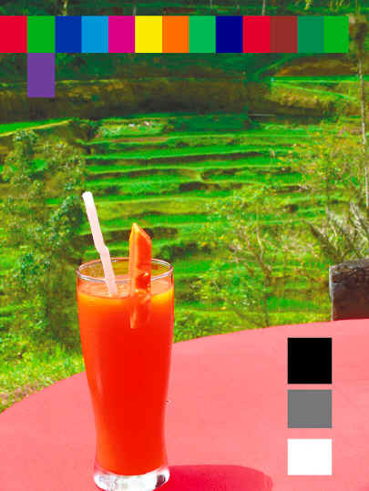 Sample CMKY + Orange + Green + Violet printed image